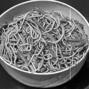 Veg Hongkong Tripple Noodles