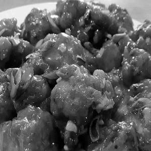 Gobi Manchuria
