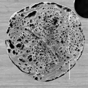 Laccha Paratha