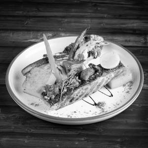 Grilled Norwegian Salmon