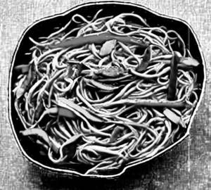 Schezwan Veg Noodles