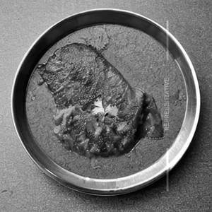 Pomfret Tel Jhol (1pc)