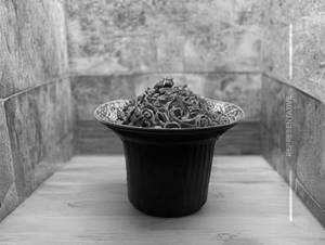 Vegetable Szechwan Noodles