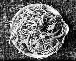 Chicken Crispy Noodles
