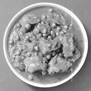 Peas Gobi