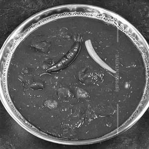 Veg Bheja Gravy