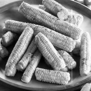American Corn Cheese