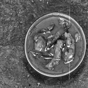 Chicken In Ginger Sauce