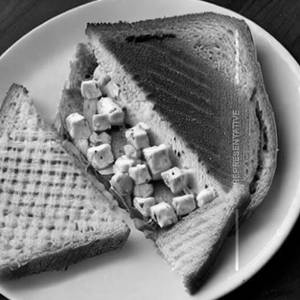 Paneer Cheese  