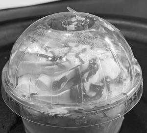 Strawberry pudding mini cup