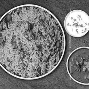 Combination Schezwan Rice