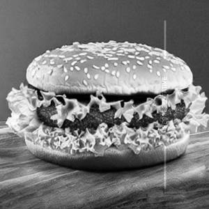 Plant Based Burger