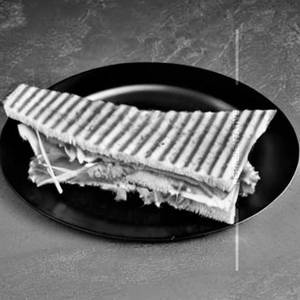 Veg Cheese Grill