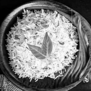 Palak Rice