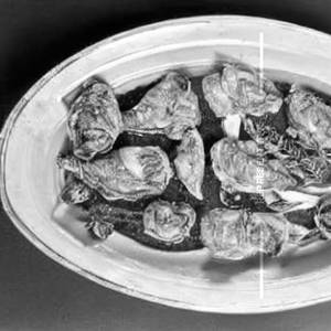 Fish Oyster  [Dry]
