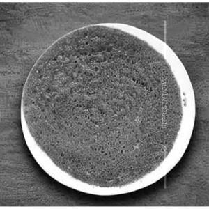 Ragi Onion