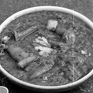 Veg Hyderabadi
