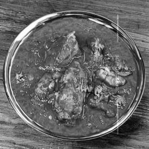 Murg Kader E Shan Gravy