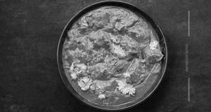 Veg Handi 