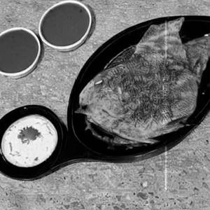 Karimeen Fry