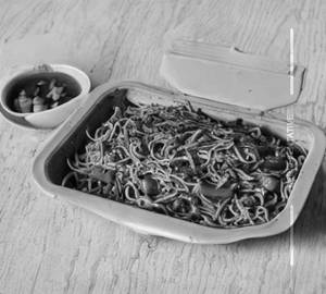 Schezwan Chicken Noodles