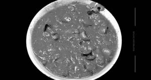 Mushroom Chilli Gravy
