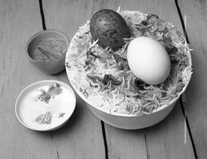 Hyderabadi Egg Biryani