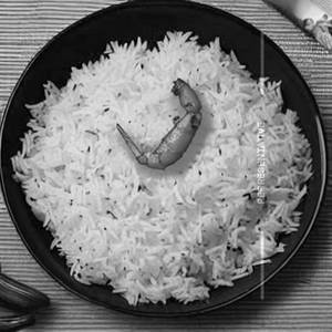 Butter Garlic Rice - Prawn