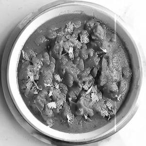 Chaap Masala