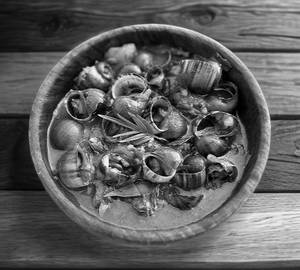 Snails