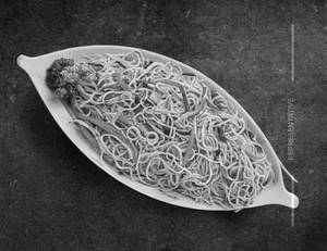 Veg Noodles