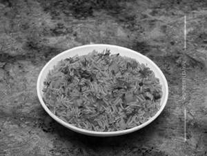 Veg Stewed Rice