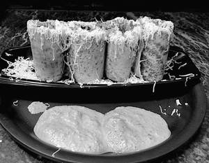 Jini Dosa Special (jain)