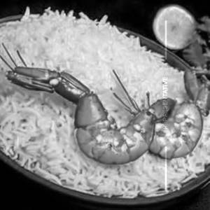 Steamed Rice (Singapore) - Prawn
