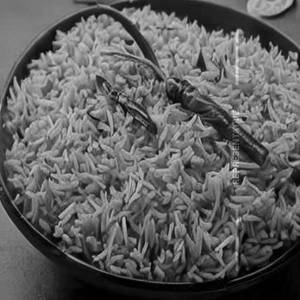 Ghee Rice