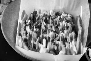 Loaded Fries 