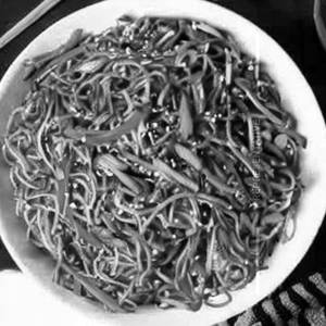 Mix Burnt Garlic Hakka Noodles