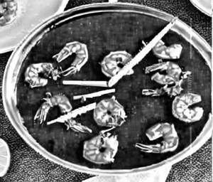 Prawns in Sauce