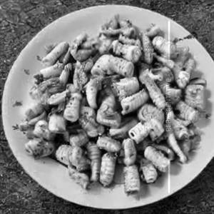 Baby Corn Schezwan
