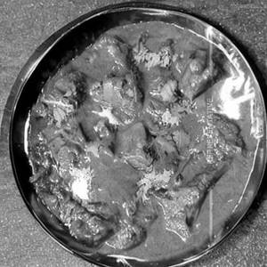 Murg Harayali