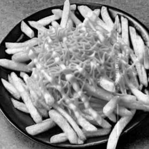 Cheese French Fries