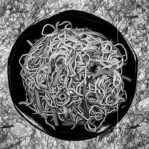 Chicken Hakka Noodles