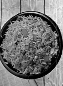 Schezwan Mushroom Fried Rice