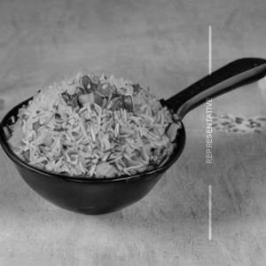 Veg Burnt Garlic Rice