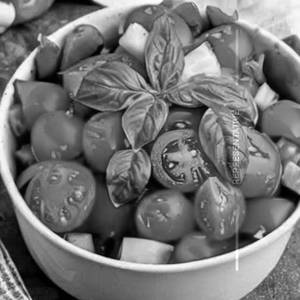 Tomato Salad