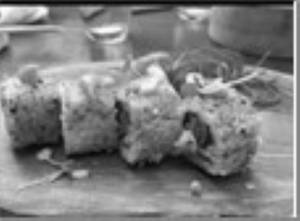 Spicy Tuna Sushi Roll