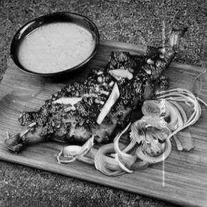 Barbecue Fish(bl)