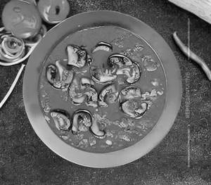 Kadai Mushroom