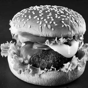 Choto burger