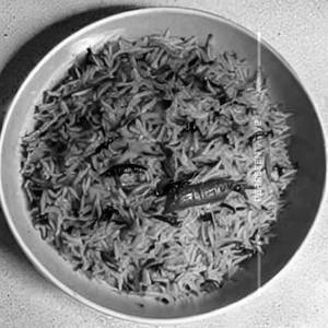 Schezwan veg freid rice [  full ]